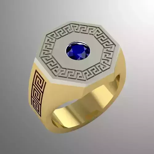 Ring bi 15 3D print model