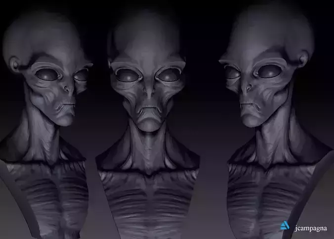 Orion Grey Alien Bust 3D print model