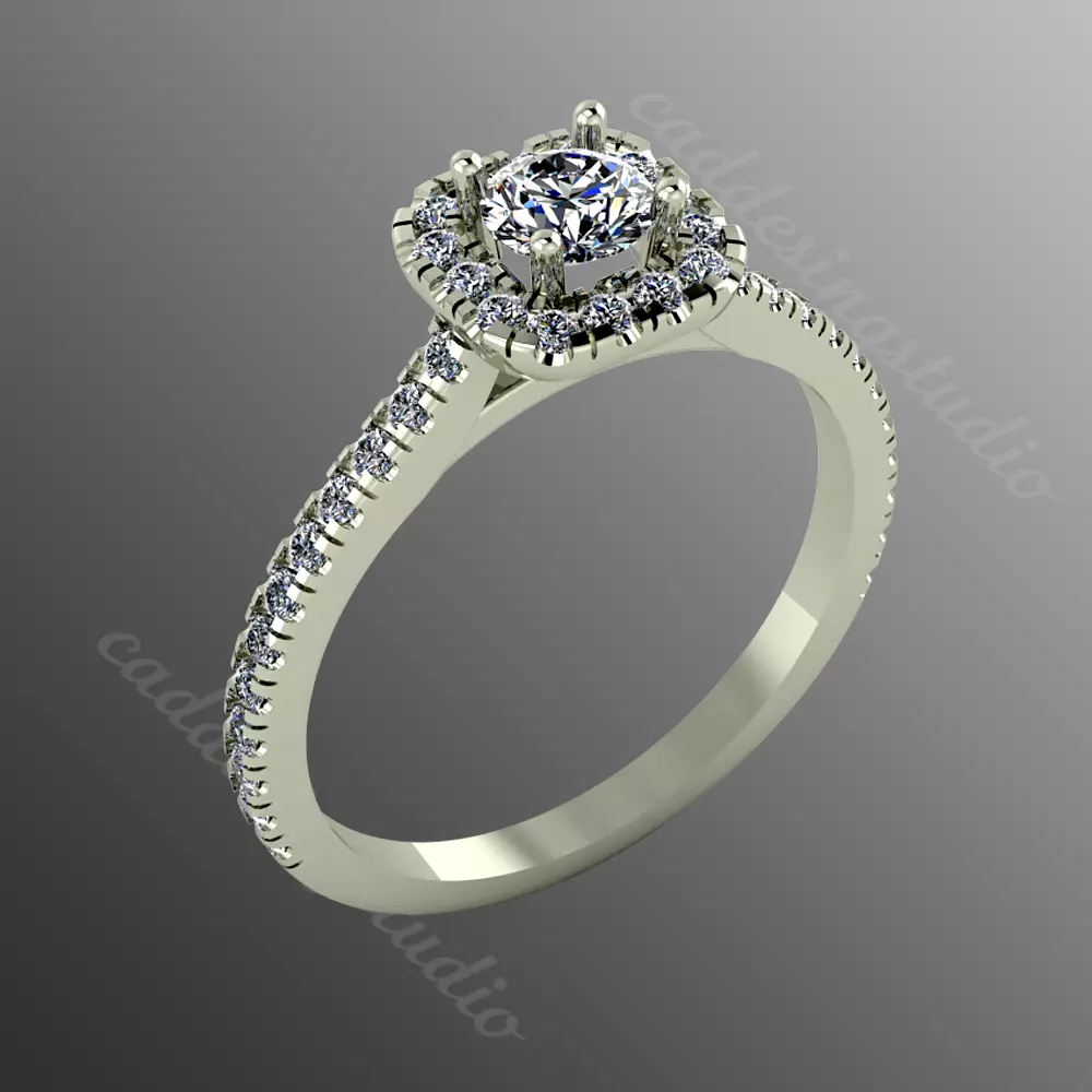 Ring bi 16 3D print model_0