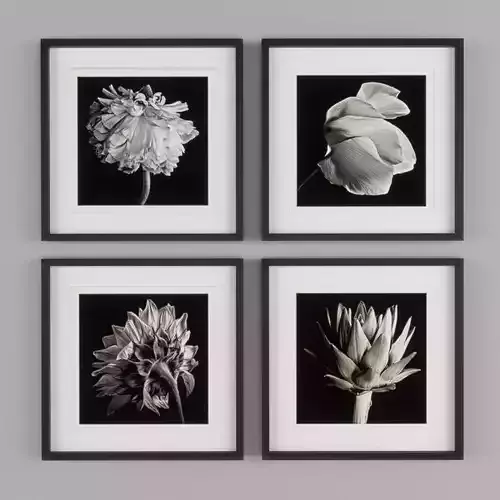 FLOWER BLACK  WHITE FRAMED PRINT Low-poly 3D model