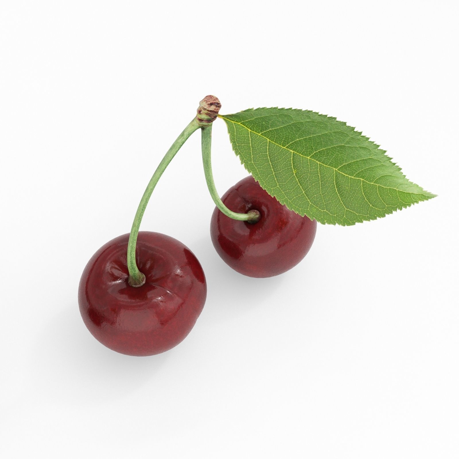 Cherry two cherries 3D model_5