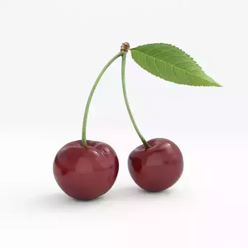 Cherry two cherries 3D model