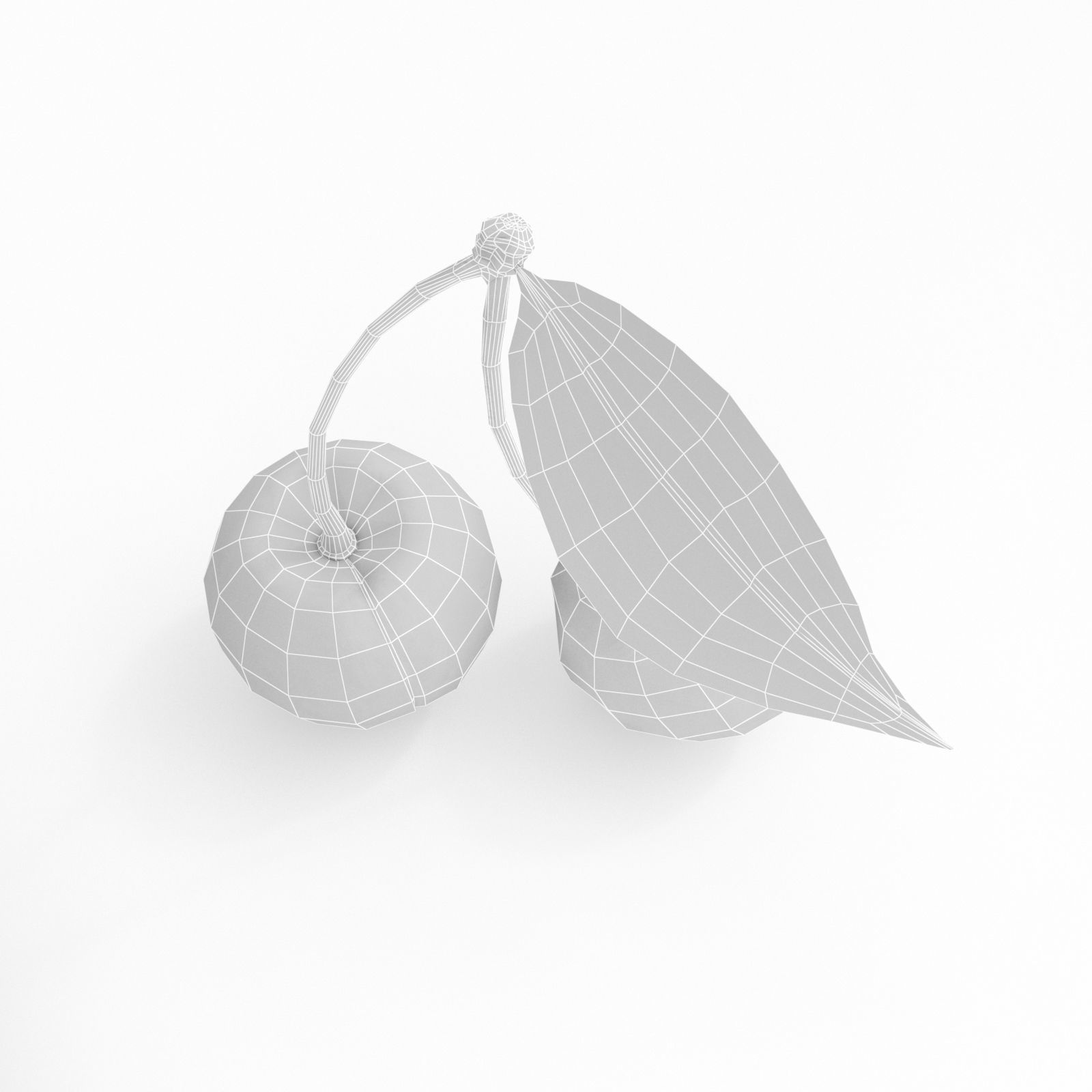 Cherry two cherries 3D model_7