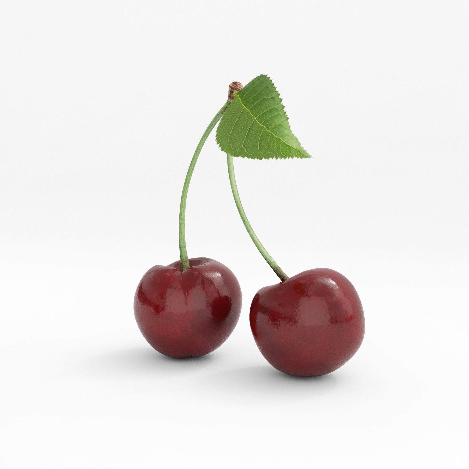 Cherry two cherries 3D model_1