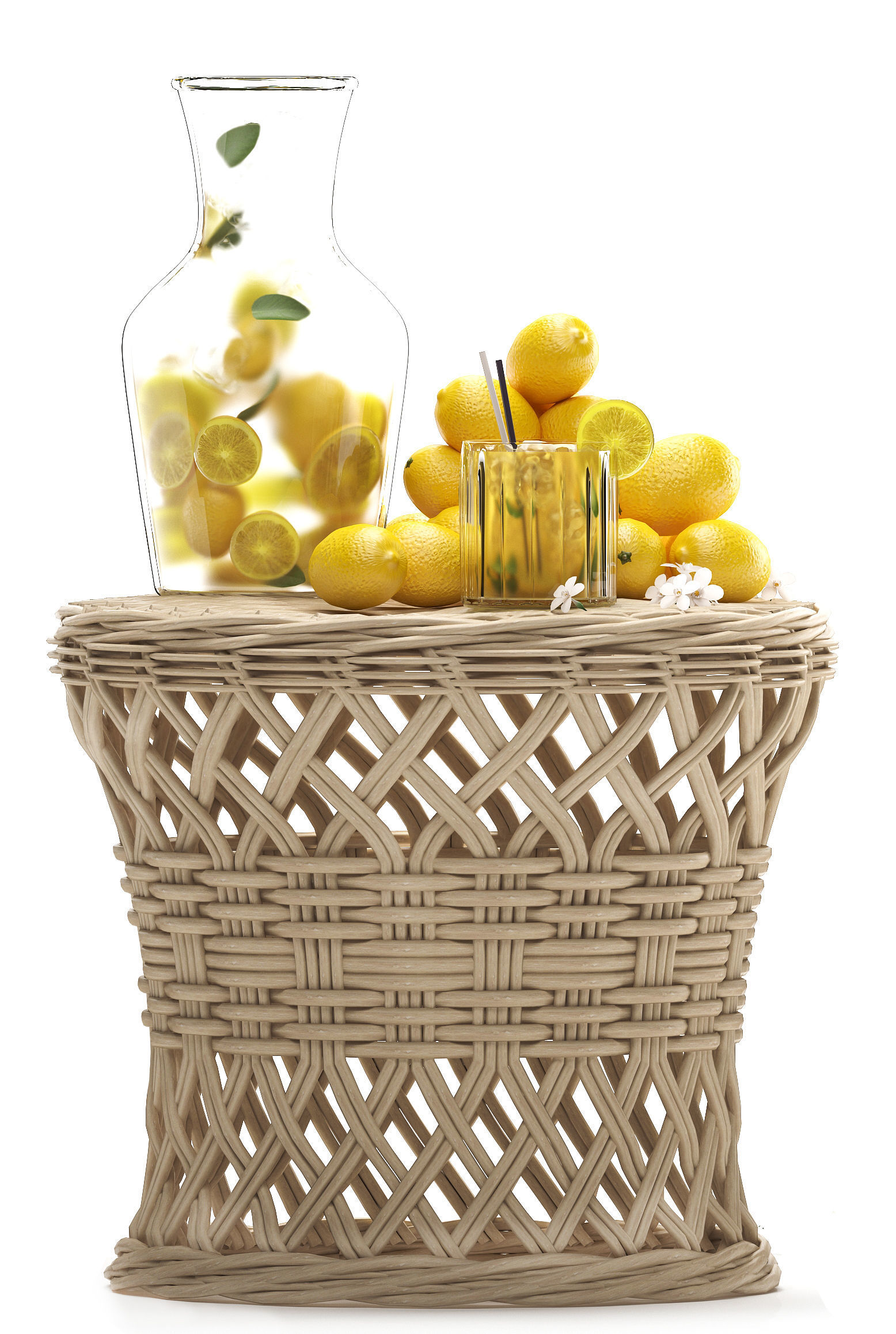 Lemon Tree with Fruit garden tree 3D model_1