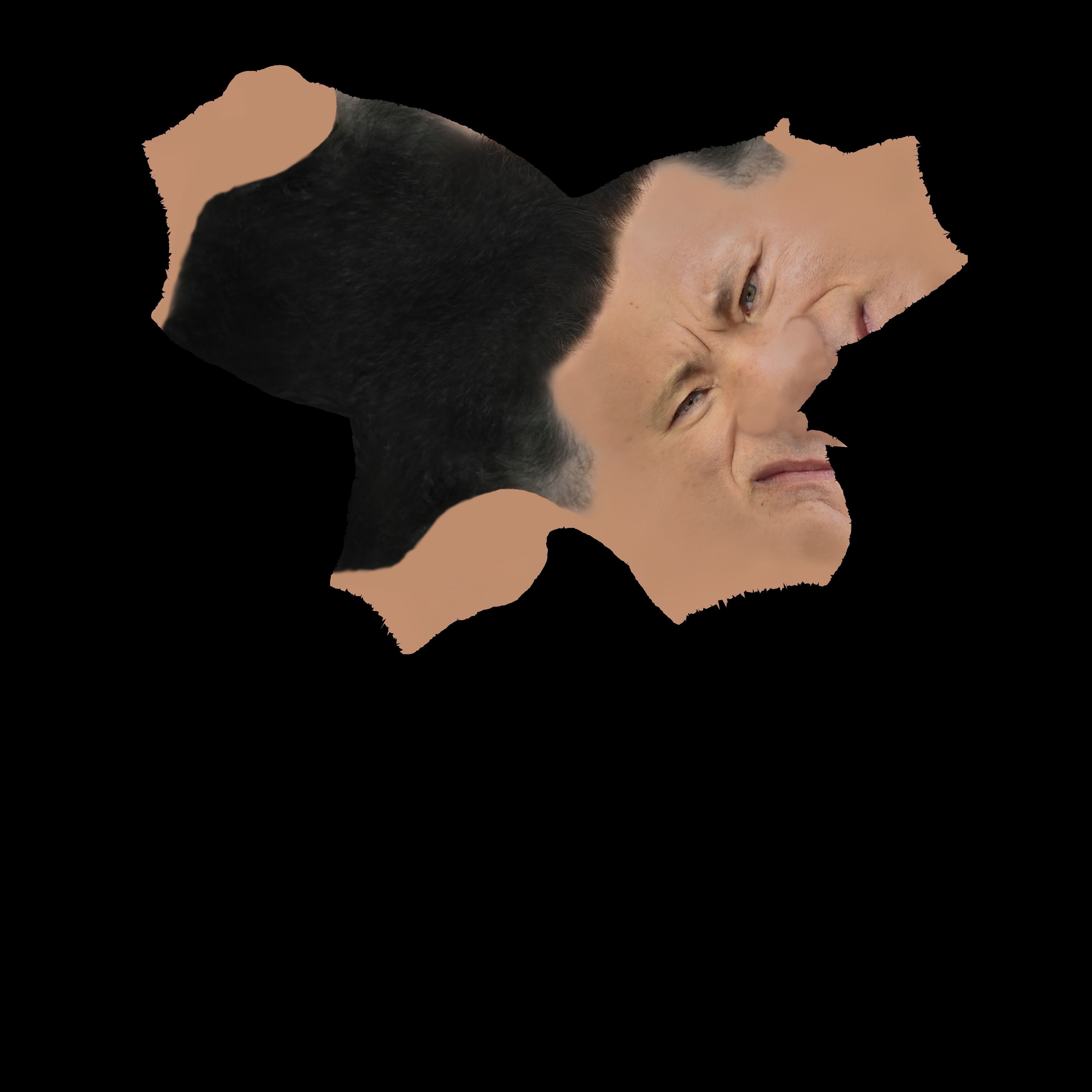 Tom Hanks 3D model_52