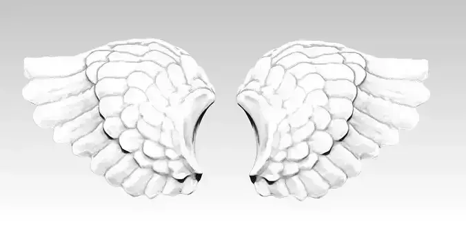 Wings pair Detailed 3D print model