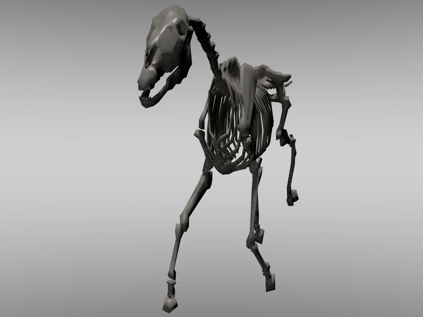 Horse Skeleton Low-poly 3D model_1