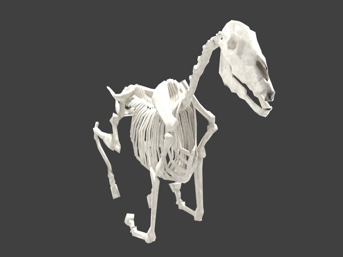 Horse Skeleton Low-poly 3D model_8