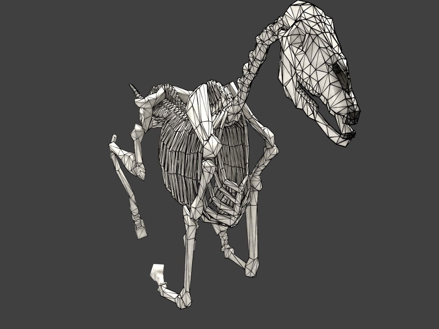 Horse Skeleton Low-poly 3D model_9