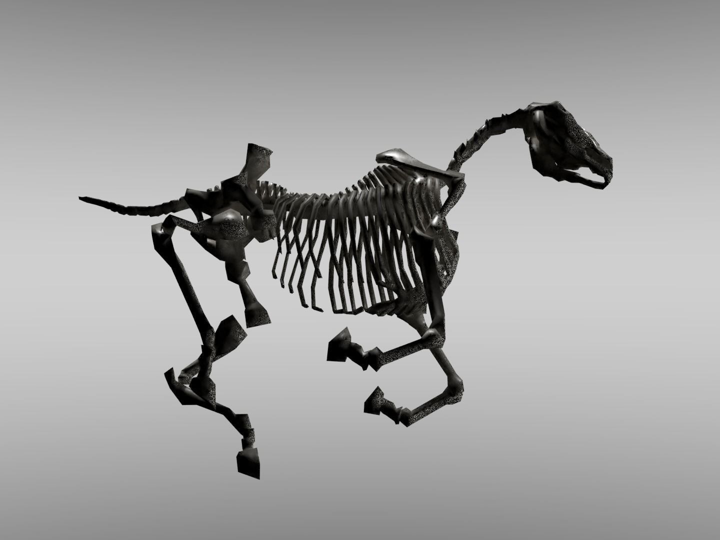 Horse Skeleton Low-poly 3D model_4