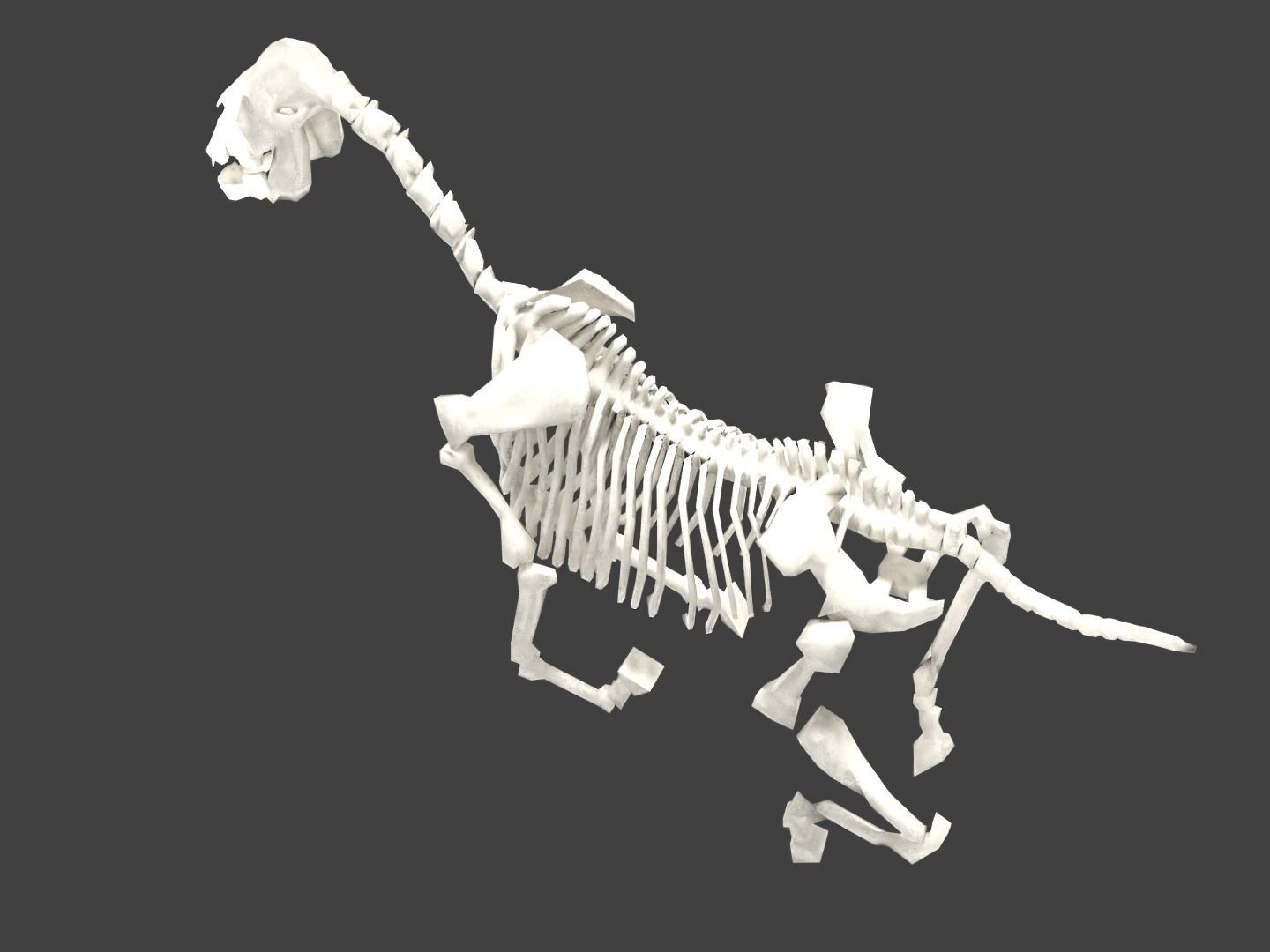Horse Skeleton Low-poly 3D model_7