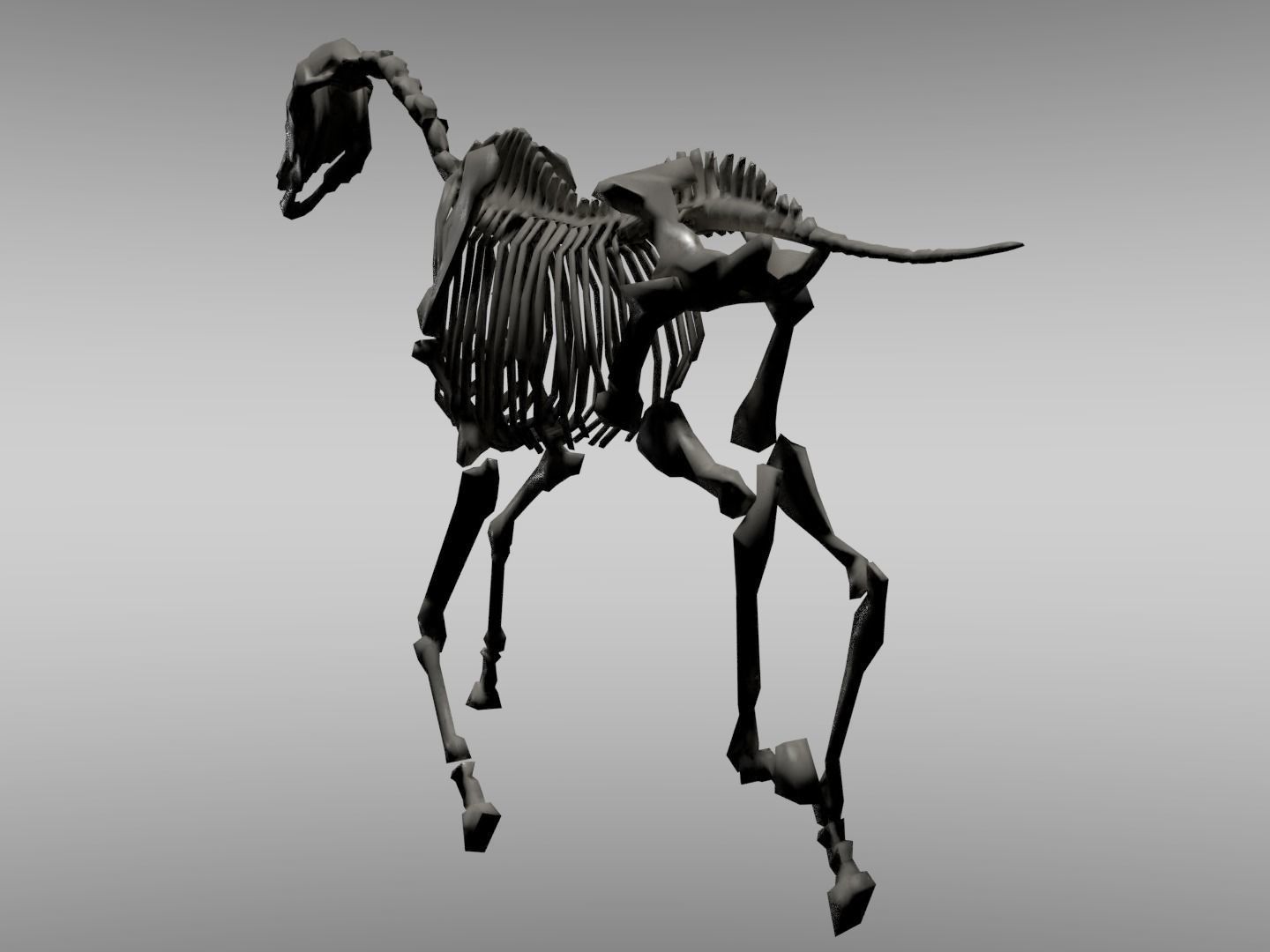 Horse Skeleton Low-poly 3D model_2