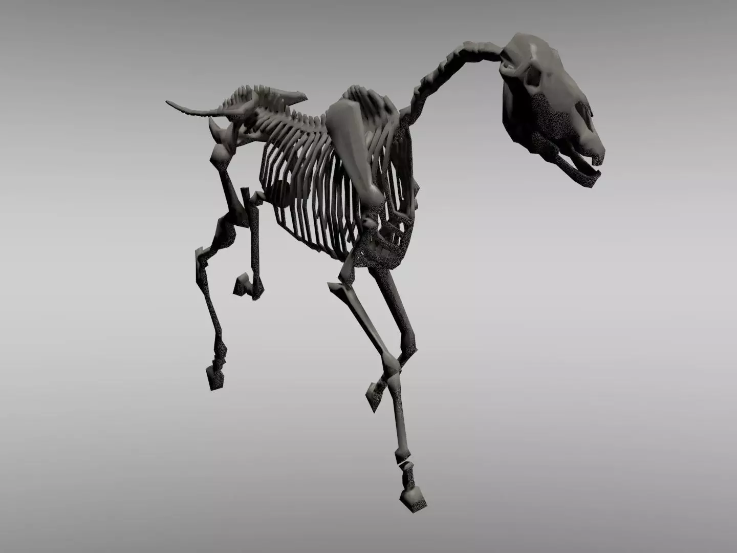 Horse Skeleton Low-poly 3D model_0