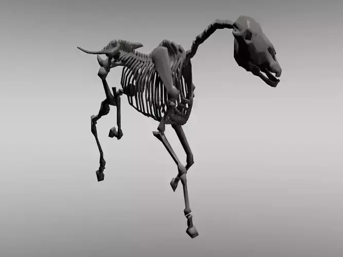 Horse Skeleton Low-poly 3D model