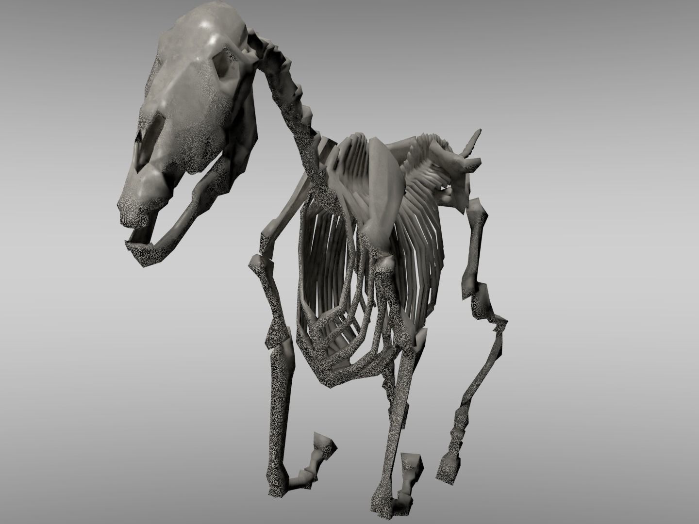 Horse Skeleton Low-poly 3D model_5