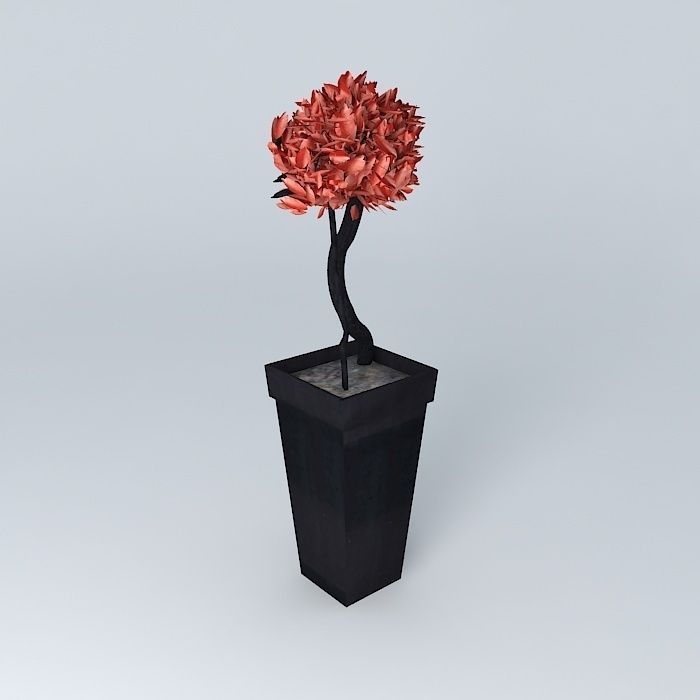 Beech stabilized plant red ball topiary 1 3D model