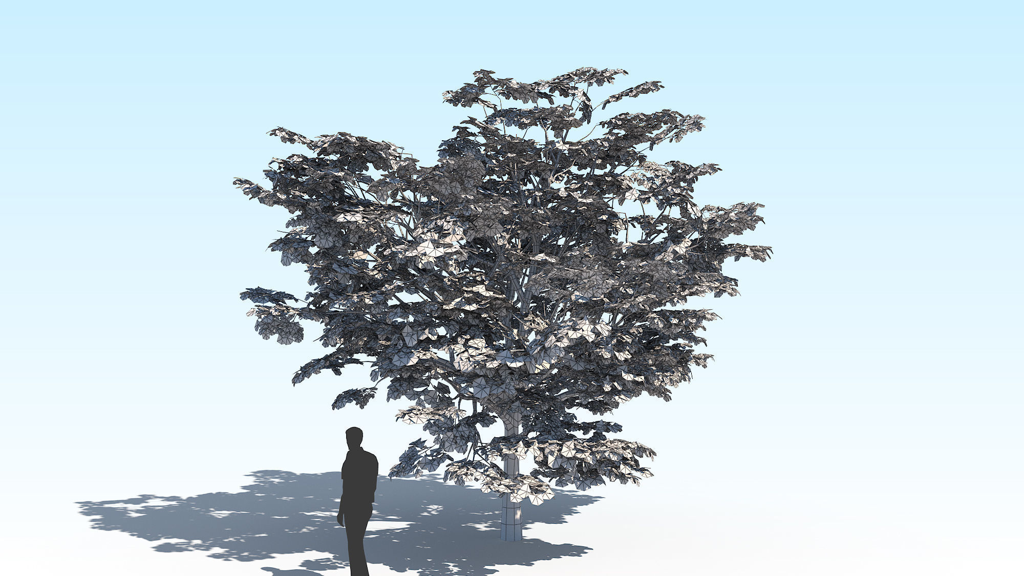 Maple Acer Tree 02 ArchViz 3D model_15