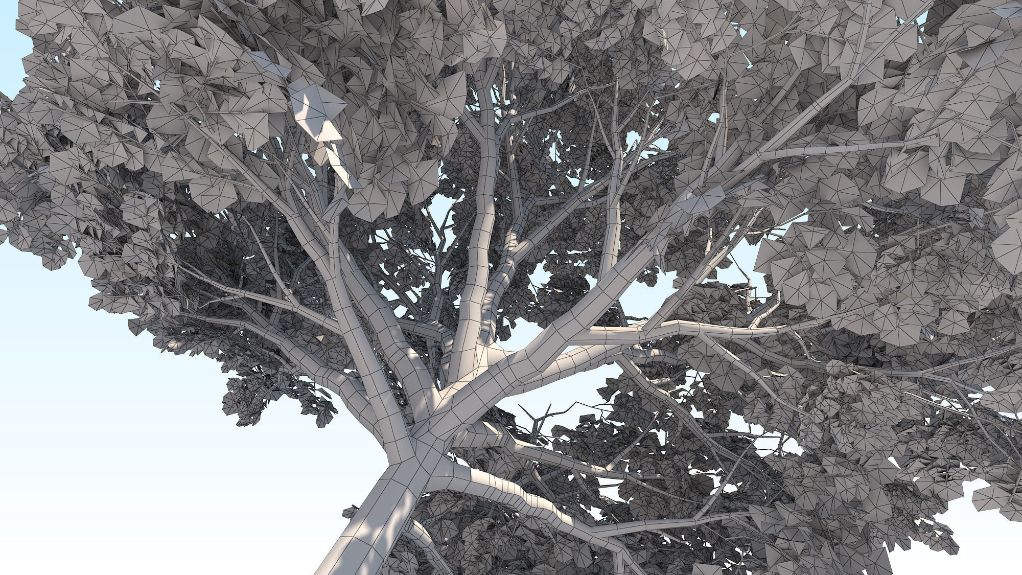 Maple Acer Tree 02 ArchViz 3D model_25