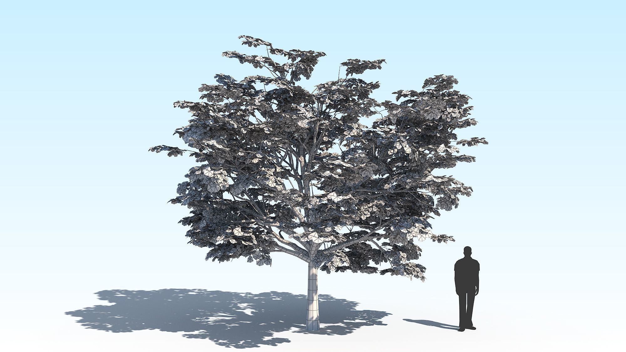 Maple Acer Tree 02 ArchViz 3D model_13