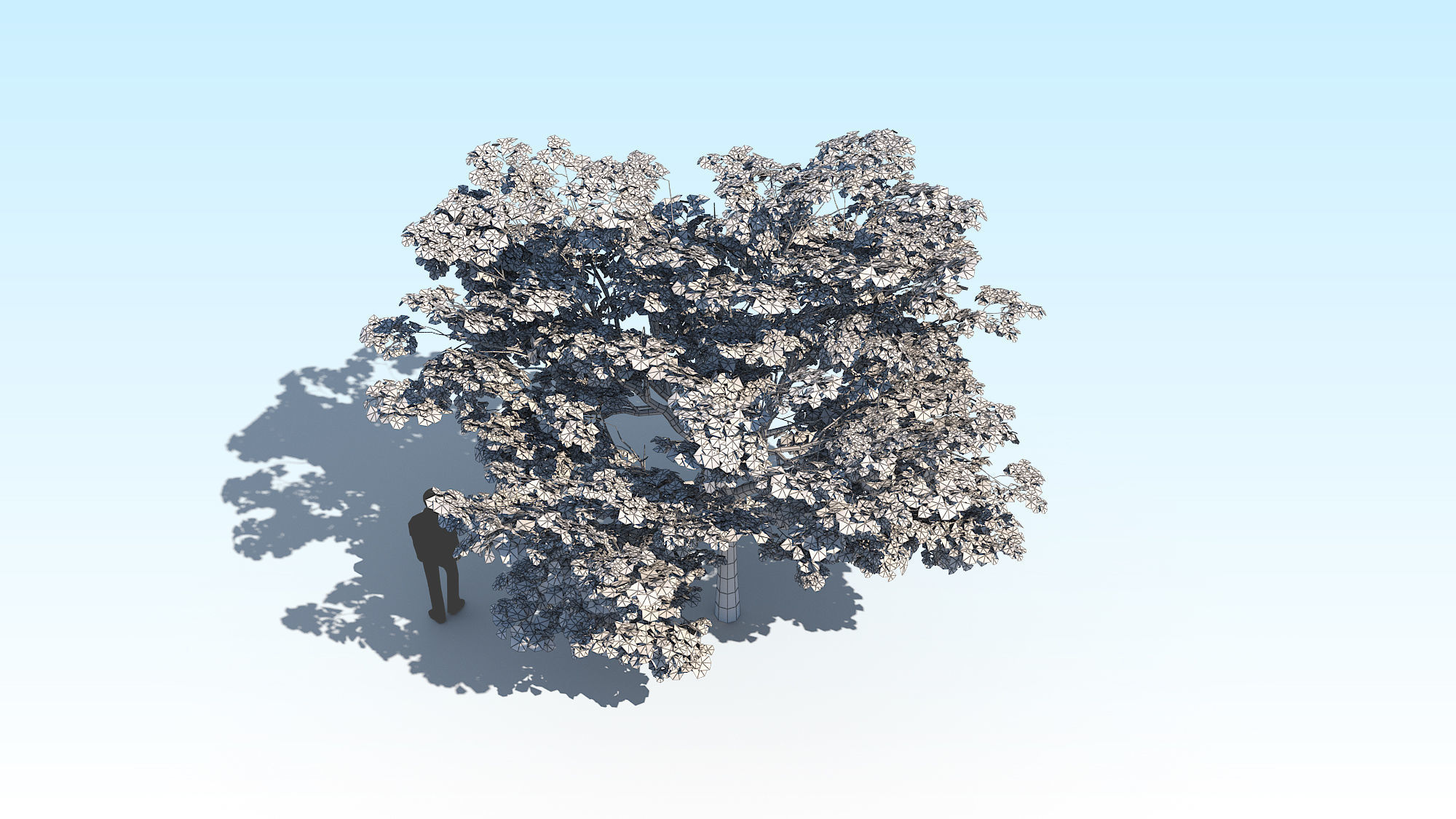 Maple Acer Tree 02 ArchViz 3D model_22