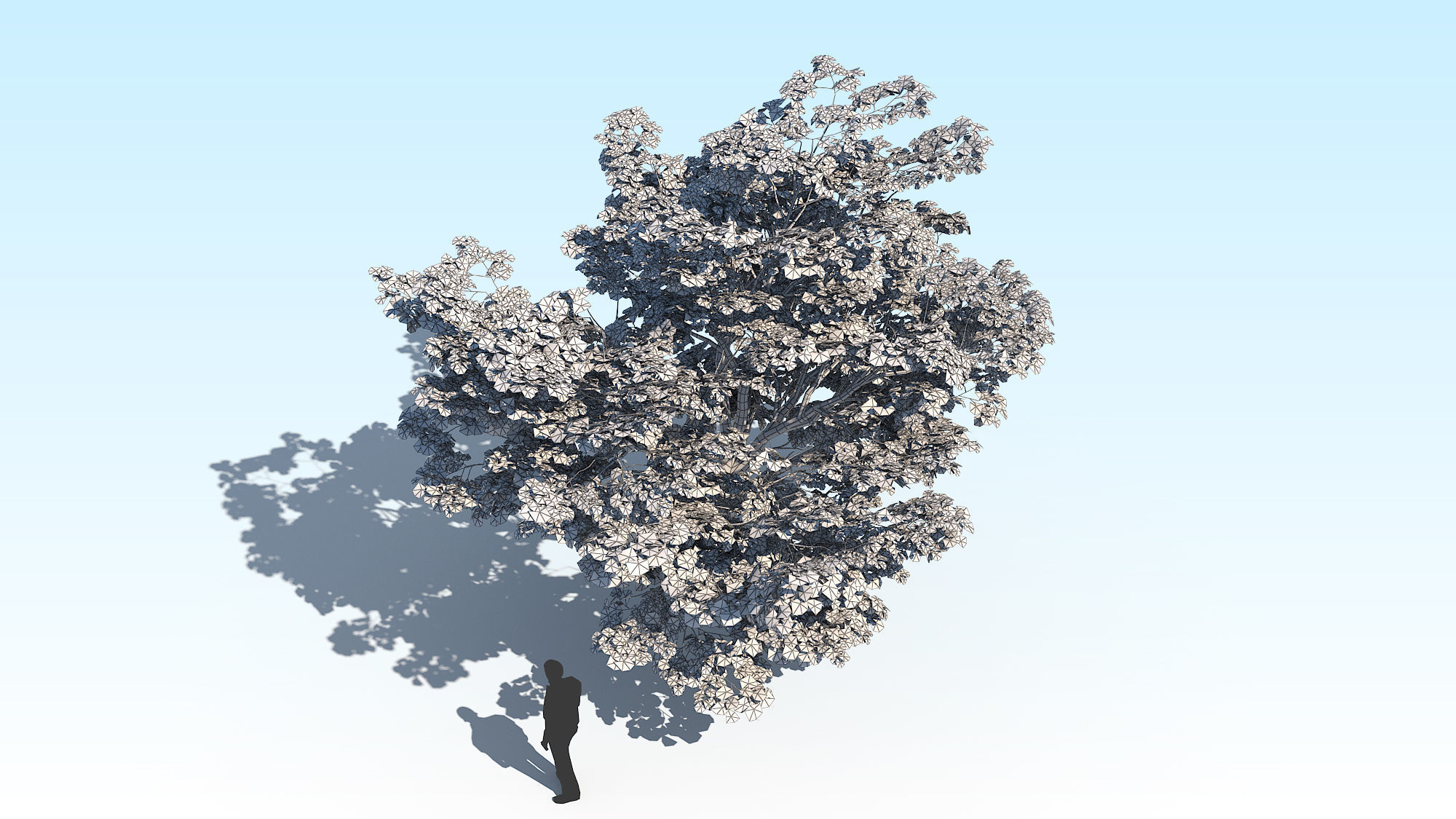 Maple Acer Tree 02 ArchViz 3D model_21