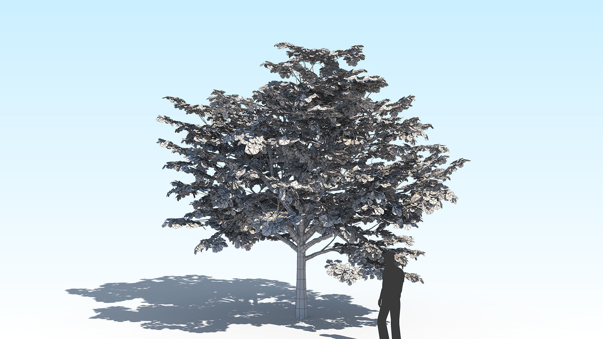 Maple Acer Tree 02 ArchViz 3D model_14