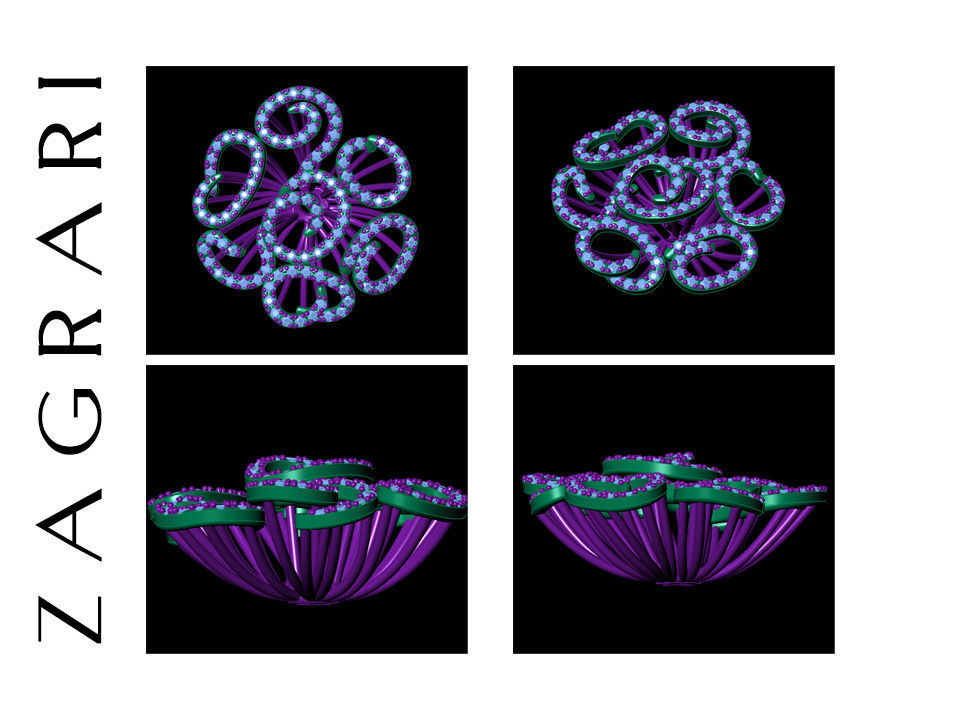 Flower Set zagari jewelry 3D print model_2