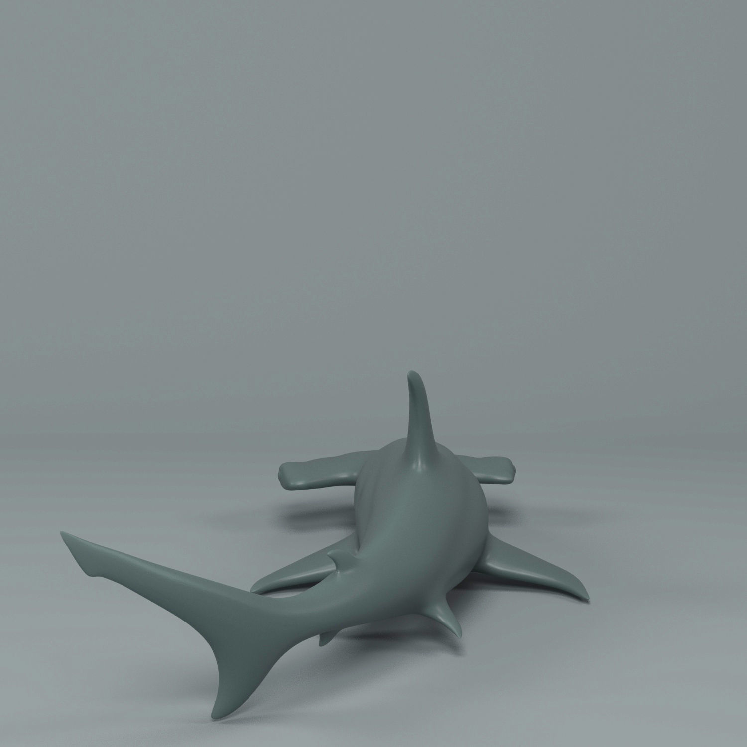 Hammerhead Shark  3D print model_3