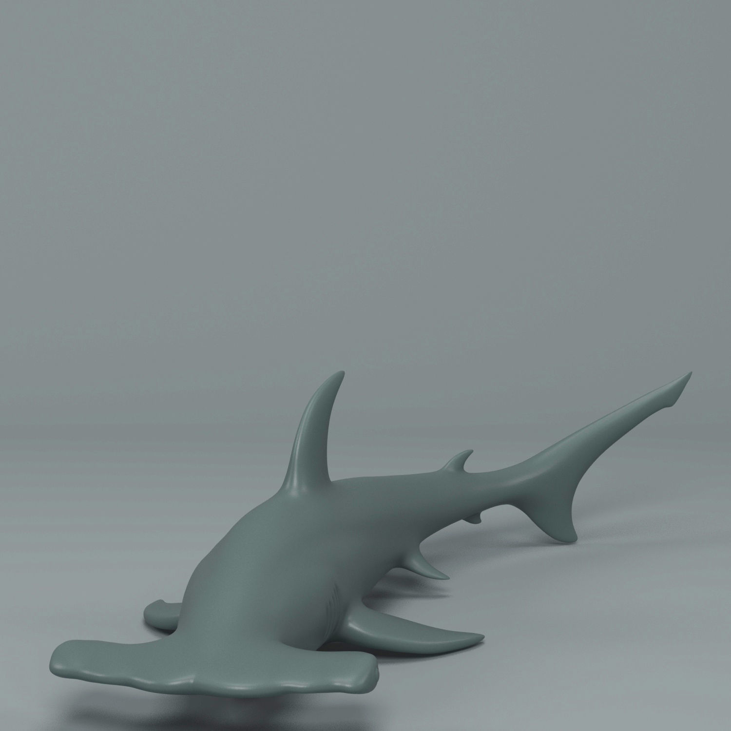 Hammerhead Shark  3D print model_4