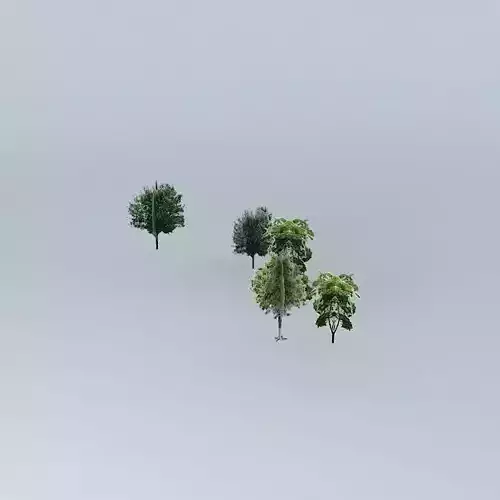 group of trees