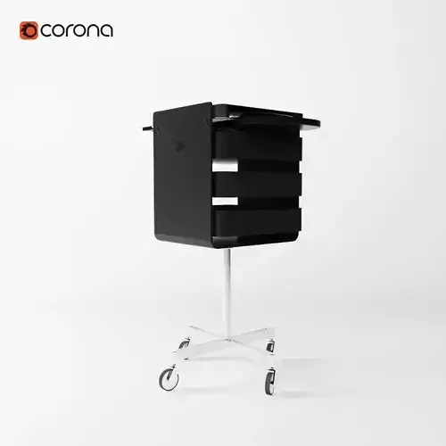 Heirdresser s Trolley Wellaboy