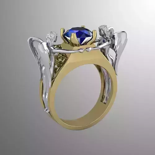Ring bi 17 3D print model