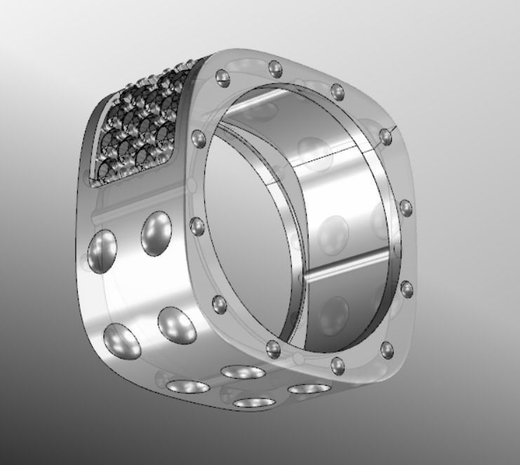 Ring bi 18 3D print model_13