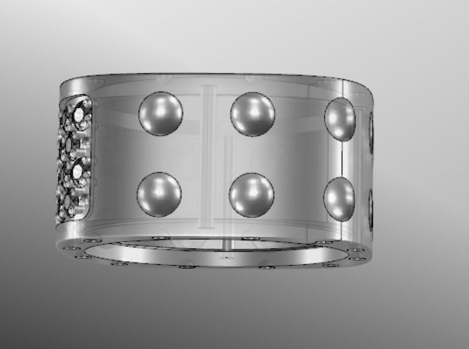 Ring bi 18 3D print model_17