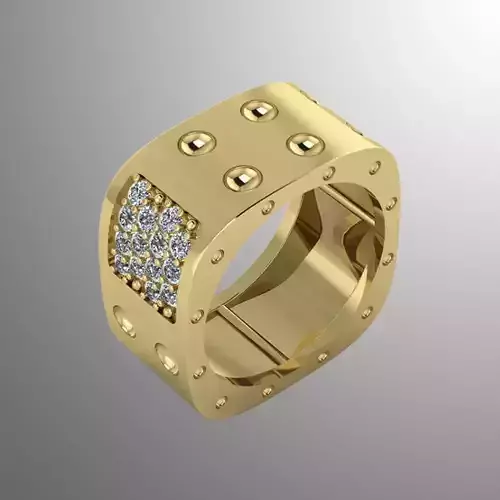 Ring bi 18 3D print model