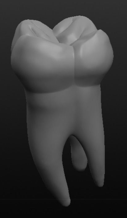 Tooth molar 3D model_1