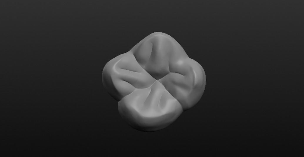 Tooth molar 3D model_3