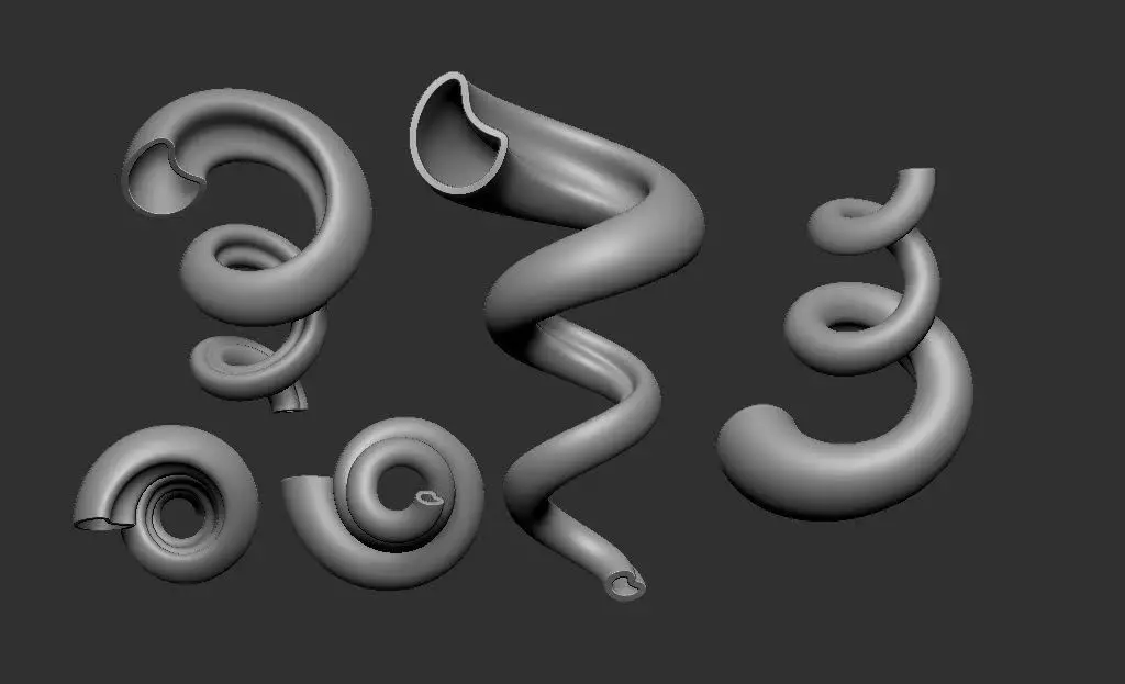 Viktor Schaubergers Original Whorl Pipe  3D print model_0