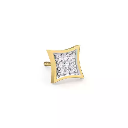 Manny Ear Studs Earring