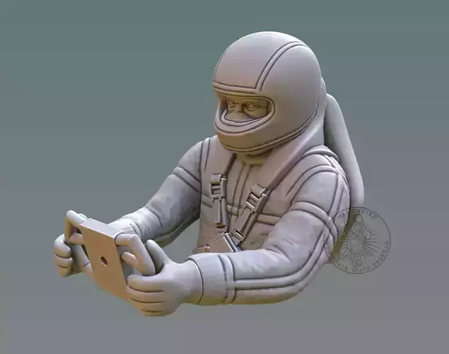 Driver Bust 3D print model