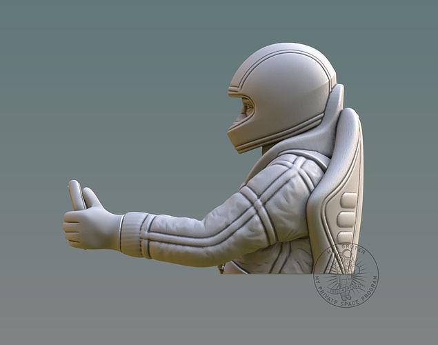 Driver Bust 3D print model 2