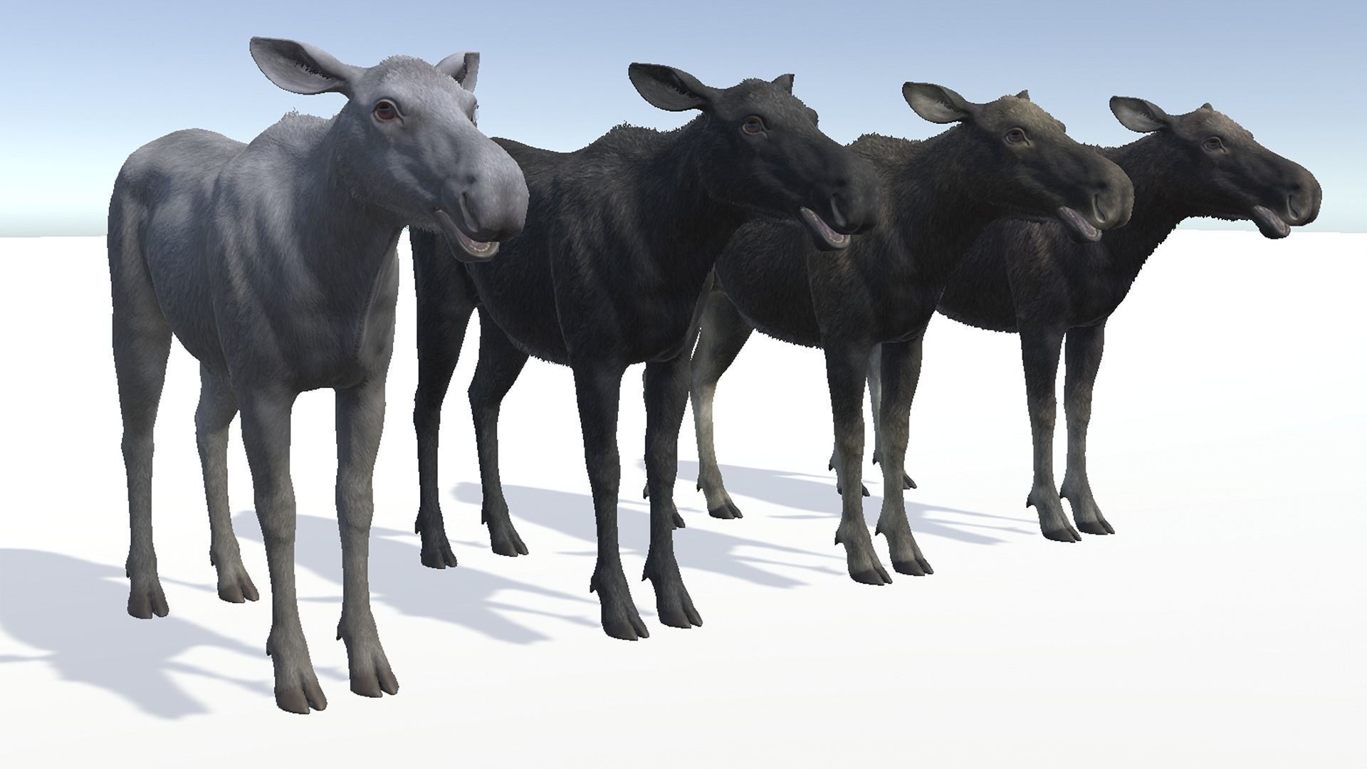 Moose - Cow Low-poly 3D model_10