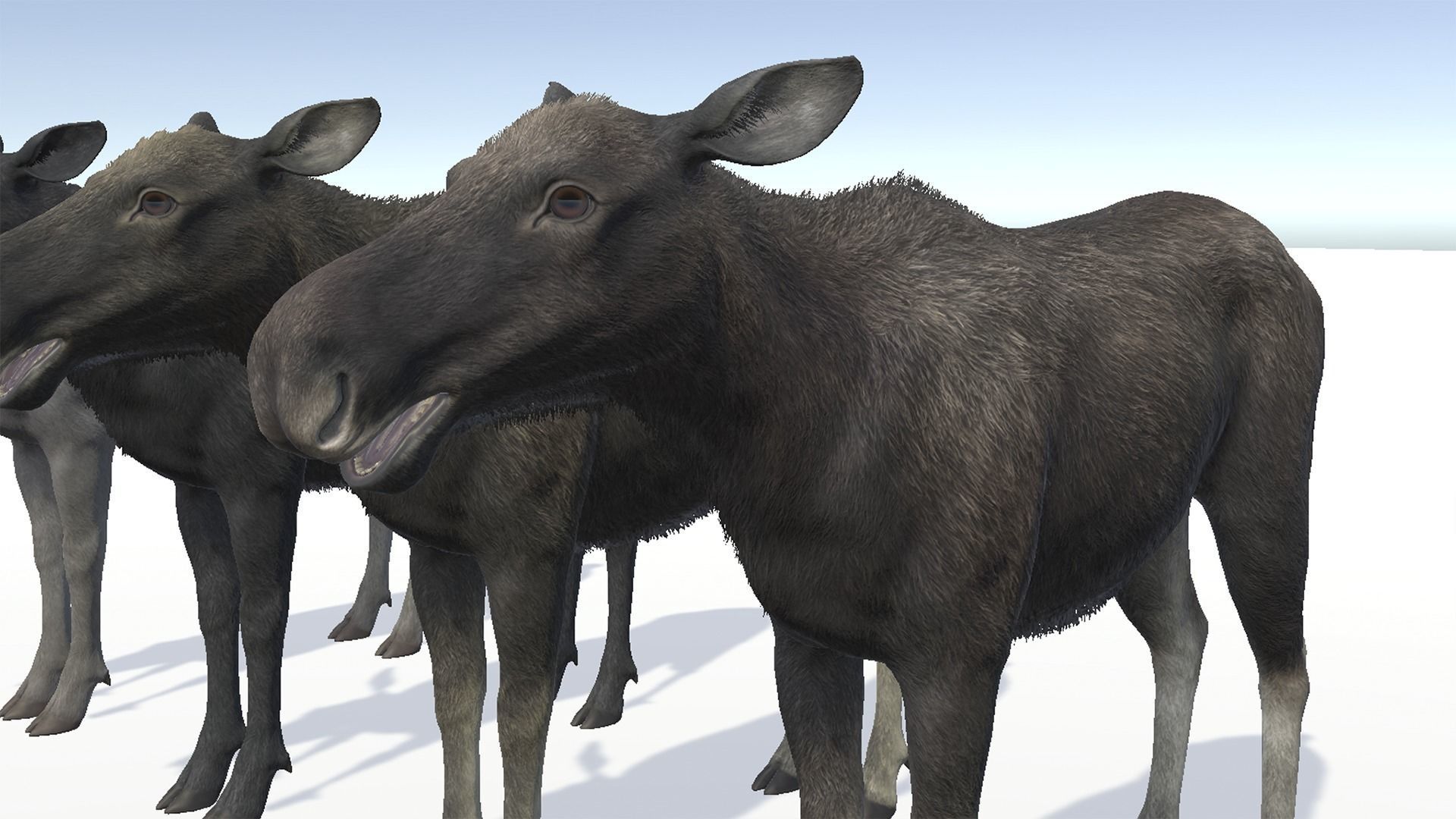 Moose - Cow Low-poly 3D model_13