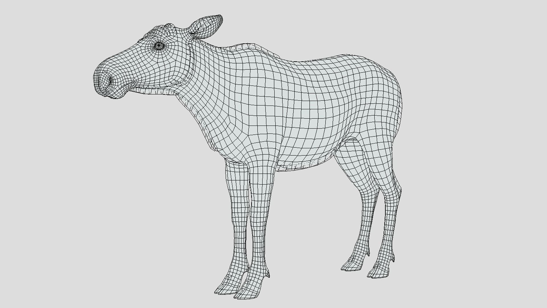 Moose - Cow Low-poly 3D model_16