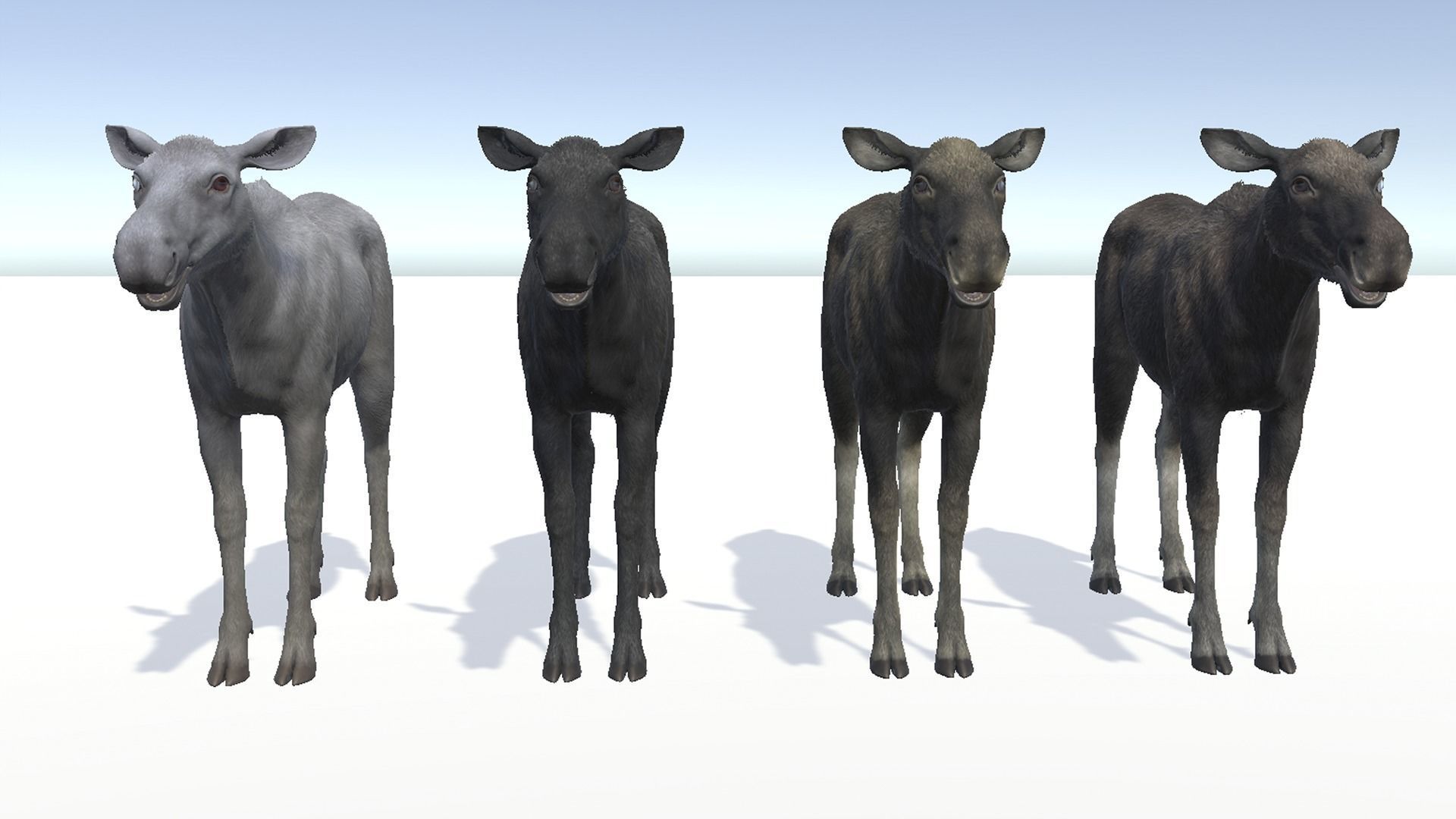 Moose - Cow Low-poly 3D model_9