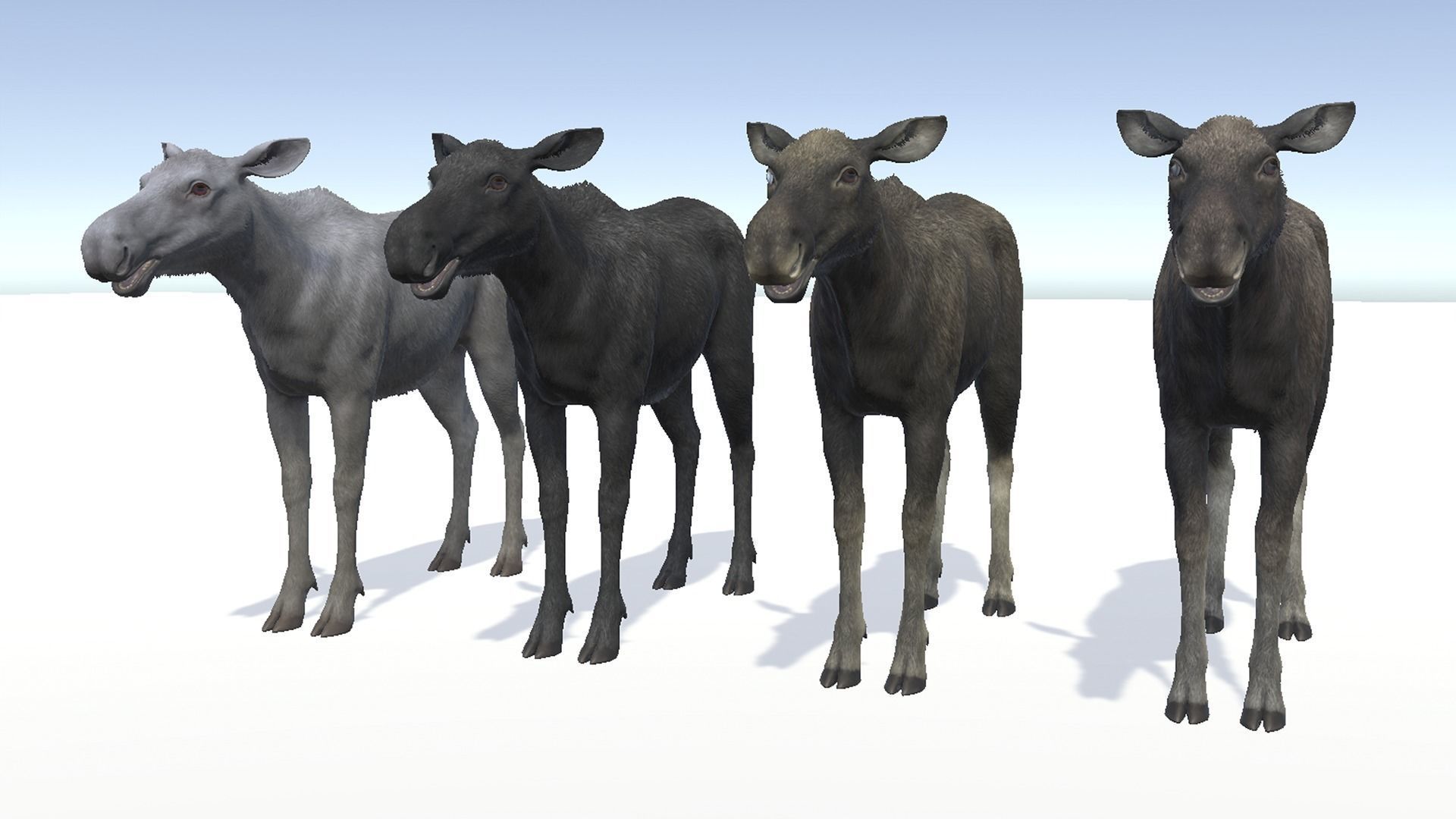 Moose - Cow Low-poly 3D model_8