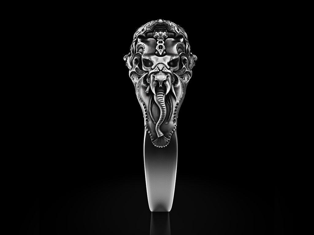 GODS Ring of Endless Biomechanics Ganesh 3D printing 3D model 3D print model_1
