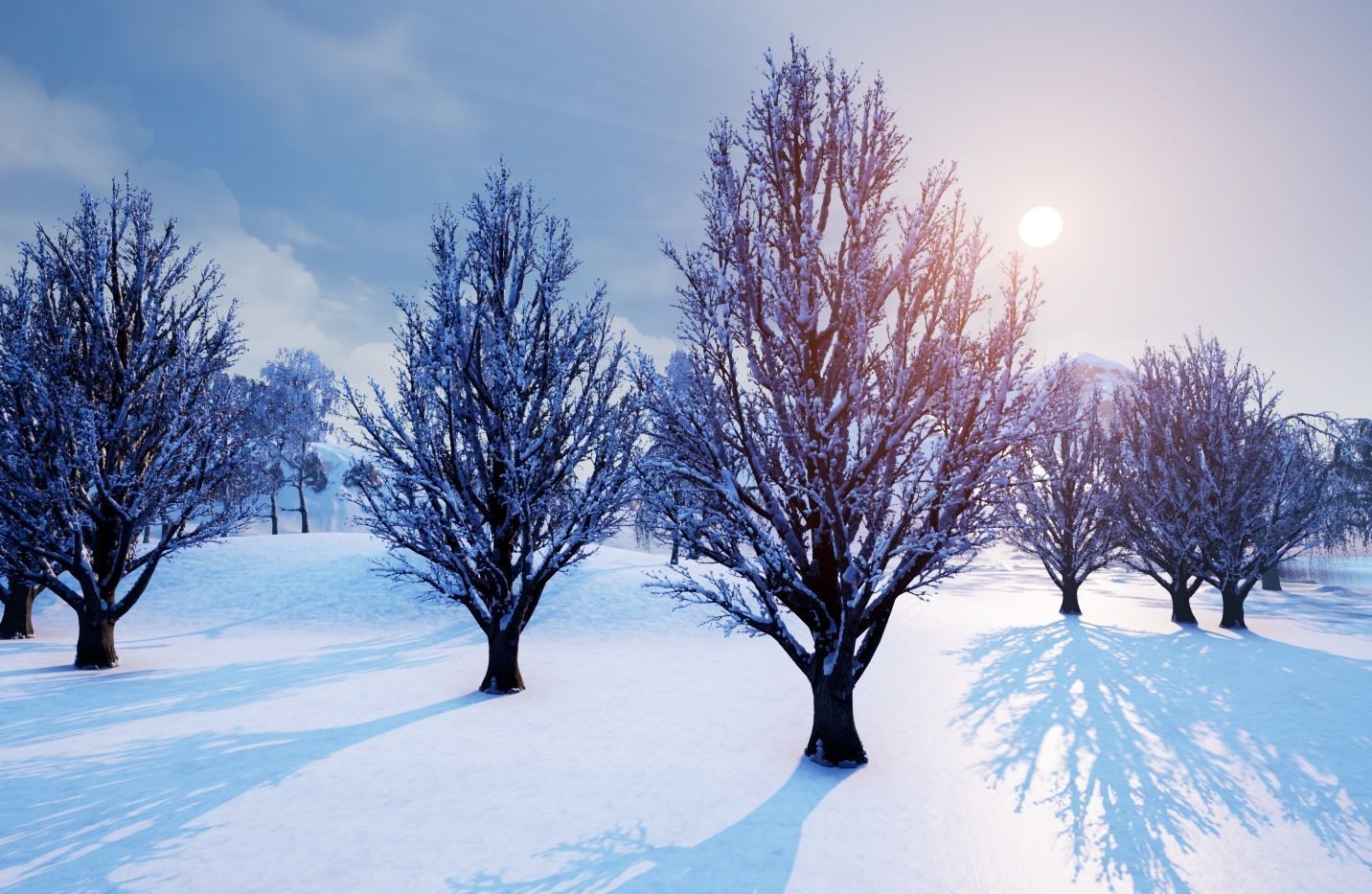 Winter Trees with Snow 3D model_16