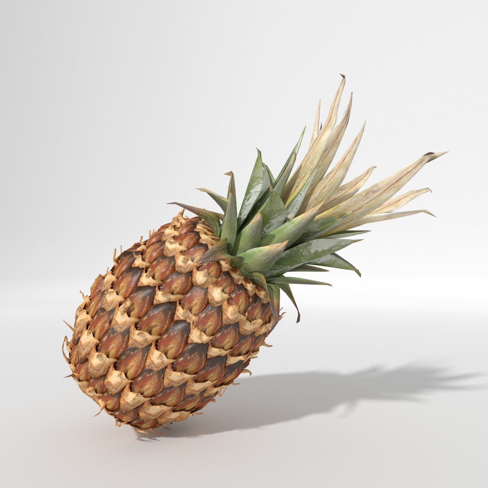 Realistic Pineapple 3D model_3